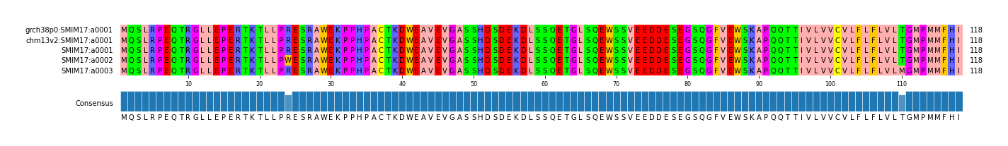 Multiple Alignments (by translate haplotype frequency)