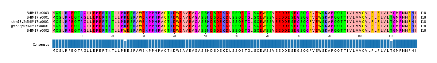 Multiple Alignments (by translate haplotype similarity)