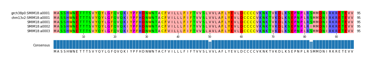Multiple Alignments (by translate haplotype frequency)