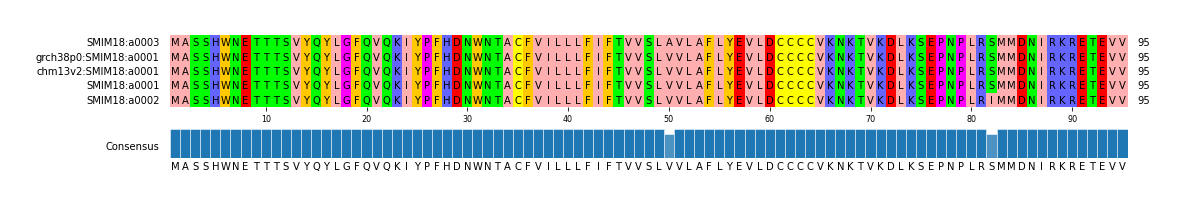 Multiple Alignments (by translate haplotype similarity)