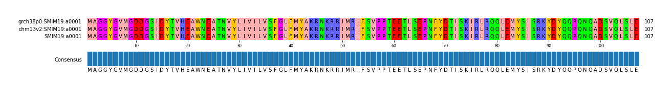 Multiple Alignments (by translate haplotype similarity)