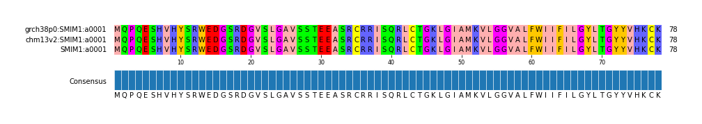 Multiple Alignments (by translate haplotype similarity)