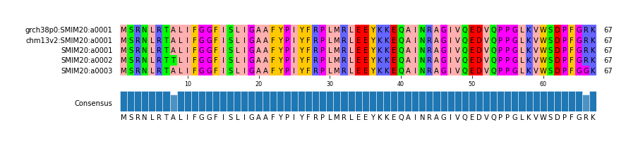 Multiple Alignments (by translate haplotype frequency)