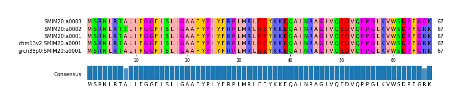 Multiple Alignments (by translate haplotype similarity)