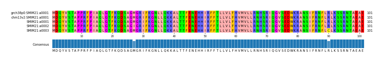 Multiple Alignments (by translate haplotype frequency)