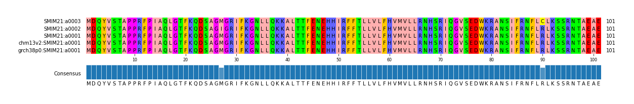 Multiple Alignments (by translate haplotype similarity)