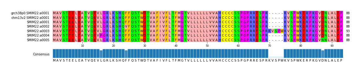 Multiple Alignments (by translate haplotype frequency)