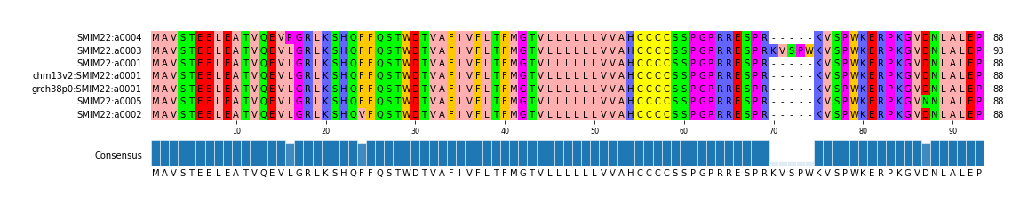 Multiple Alignments (by translate haplotype similarity)