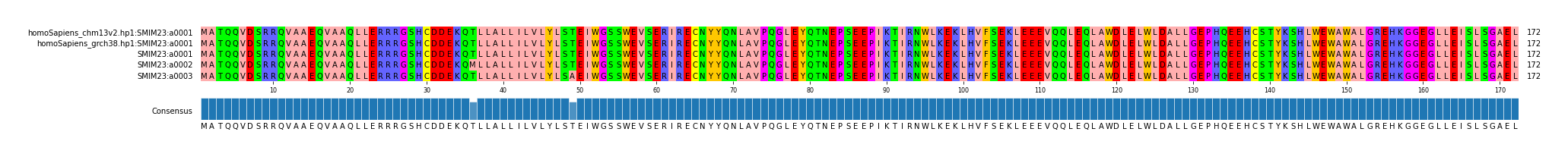 Multiple Alignments (by translate haplotype frequency)