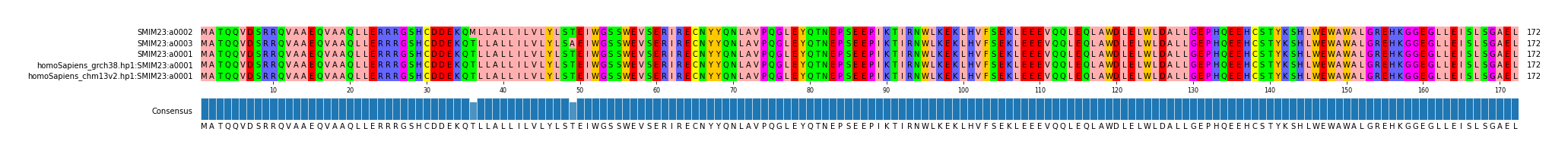 Multiple Alignments (by translate haplotype similarity)