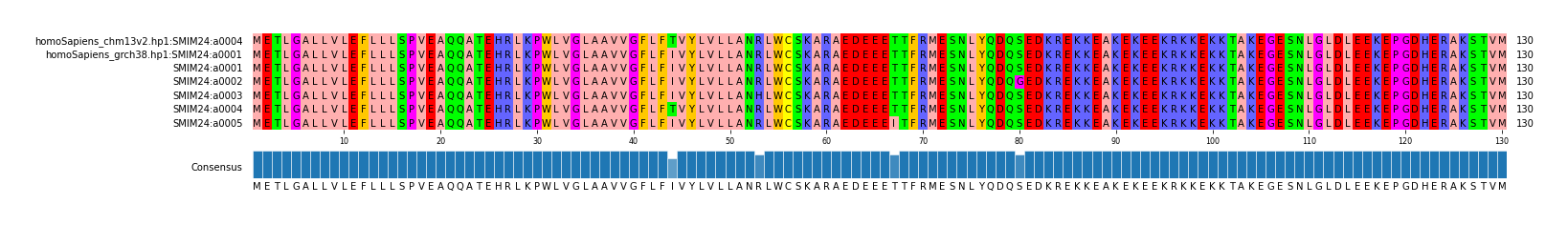 Multiple Alignments (by translate haplotype frequency)