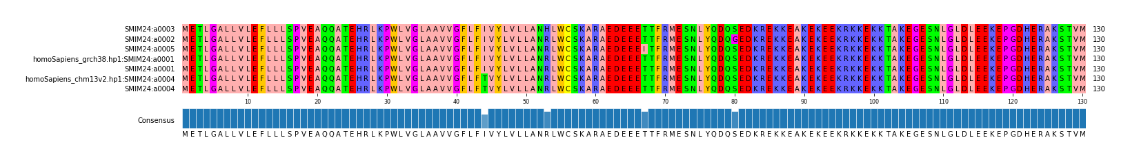 Multiple Alignments (by translate haplotype similarity)