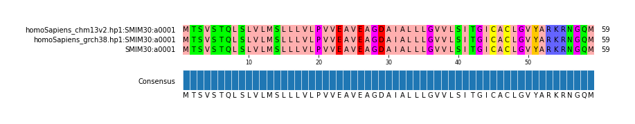 Multiple Alignments (by translate haplotype similarity)