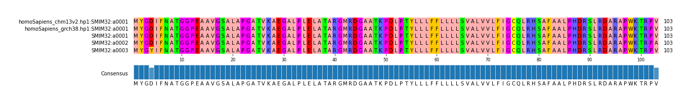 Multiple Alignments (by translate haplotype frequency)