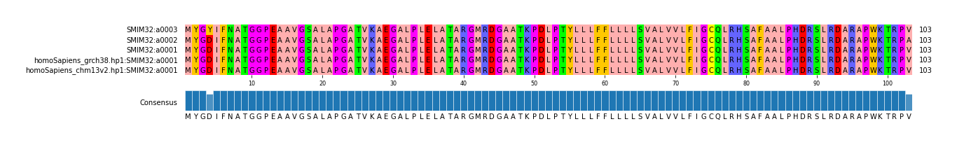 Multiple Alignments (by translate haplotype similarity)