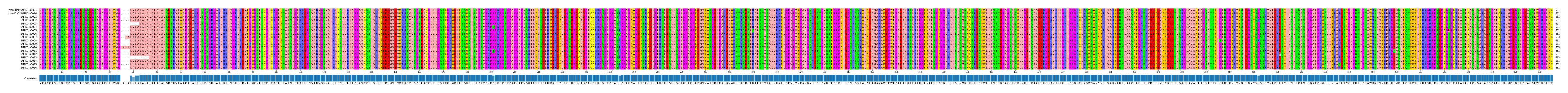 Multiple Alignments (by translate haplotype frequency)