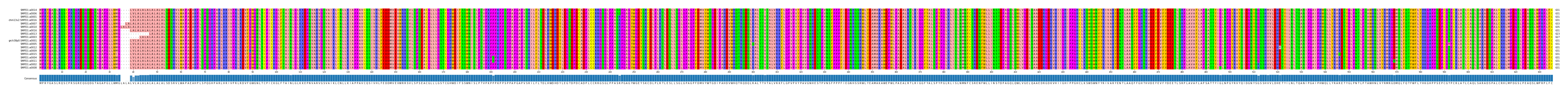Multiple Alignments (by translate haplotype similarity)