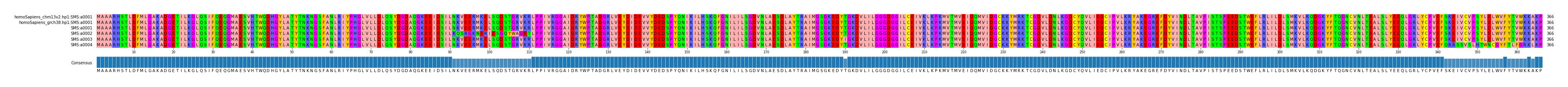 Multiple Alignments (by translate haplotype frequency)