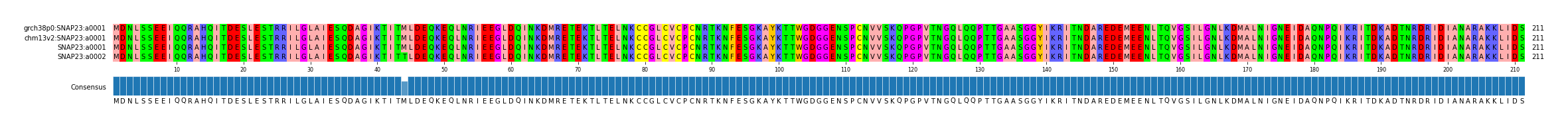 Multiple Alignments (by translate haplotype similarity)