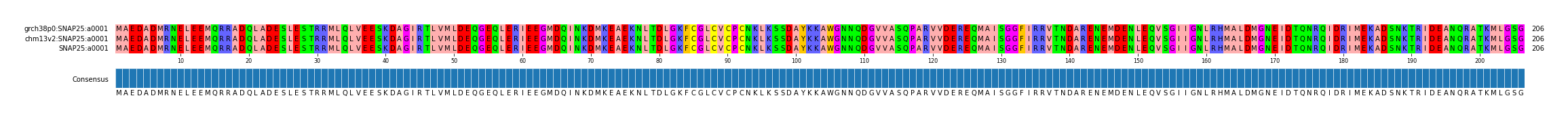 Multiple Alignments (by translate haplotype frequency)