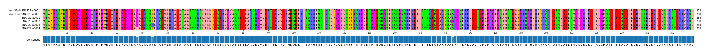 Multiple Alignments (by translate haplotype frequency)