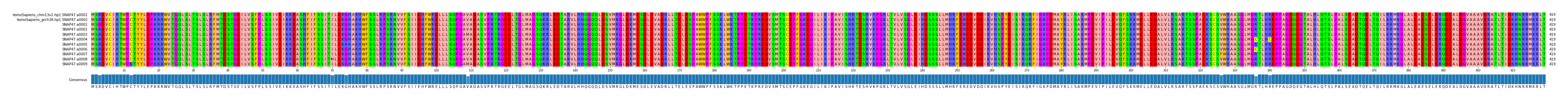 Multiple Alignments (by translate haplotype frequency)