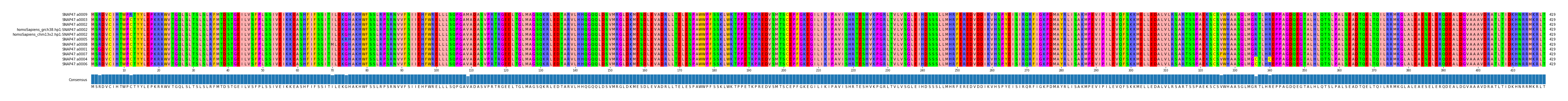 Multiple Alignments (by translate haplotype similarity)