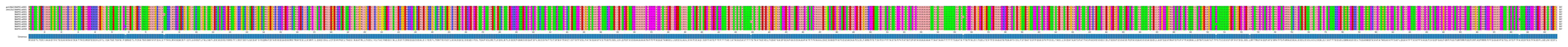Multiple Alignments (by translate haplotype frequency)
