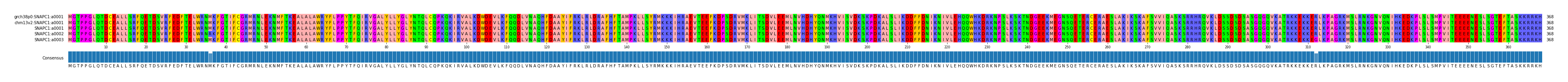 Multiple Alignments (by translate haplotype frequency)