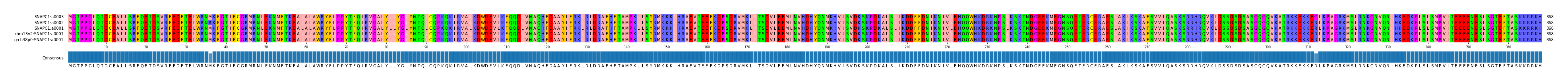 Multiple Alignments (by translate haplotype similarity)