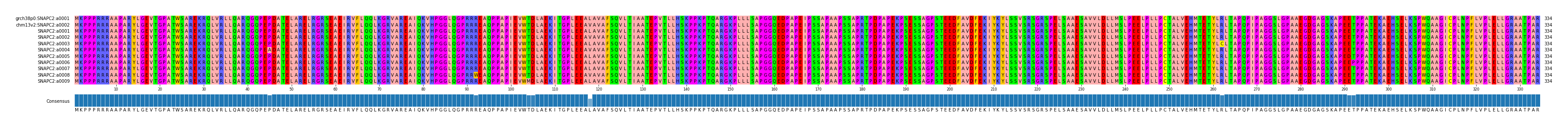 Multiple Alignments (by translate haplotype frequency)