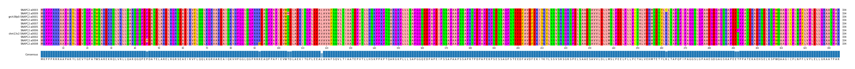 Multiple Alignments (by translate haplotype similarity)