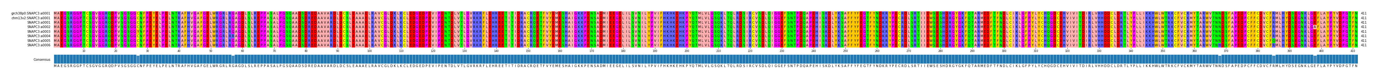 Multiple Alignments (by translate haplotype frequency)