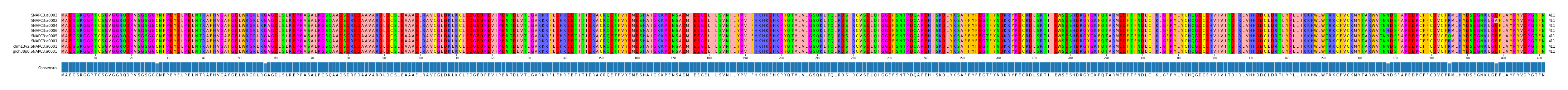 Multiple Alignments (by translate haplotype similarity)