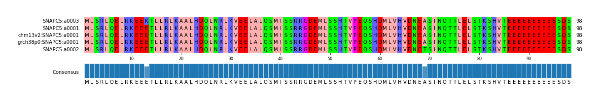 Multiple Alignments (by translate haplotype similarity)