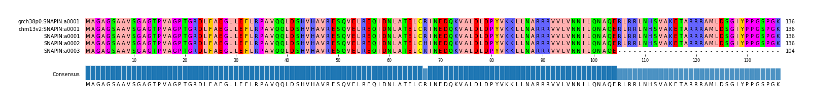 Multiple Alignments (by translate haplotype frequency)