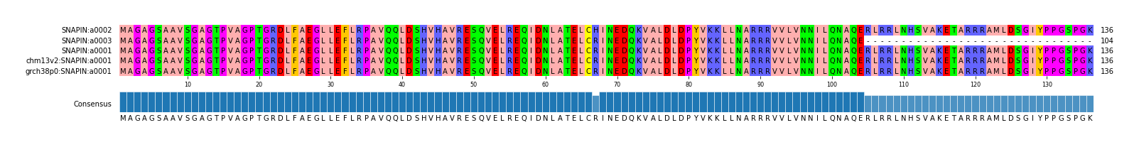 Multiple Alignments (by translate haplotype similarity)