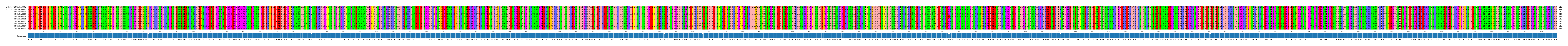 Multiple Alignments (by translate haplotype frequency)