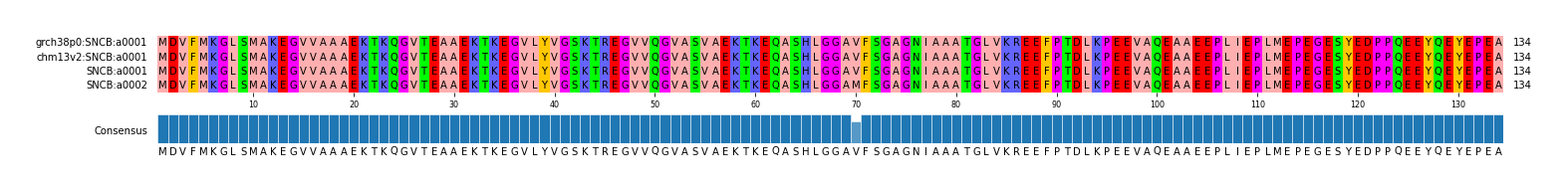 Multiple Alignments (by translate haplotype similarity)
