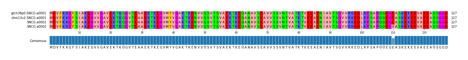 Multiple Alignments (by translate haplotype similarity)