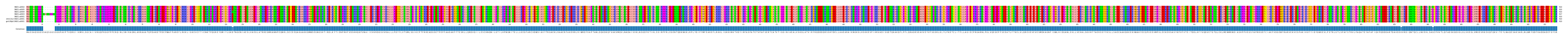 Multiple Alignments (by translate haplotype similarity)