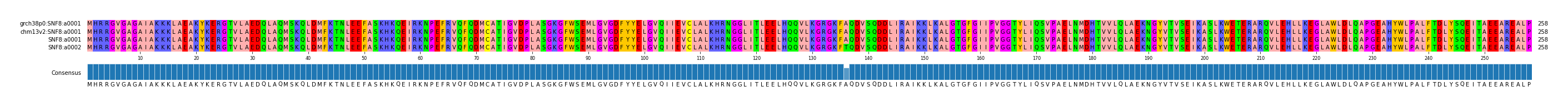 Multiple Alignments (by translate haplotype similarity)