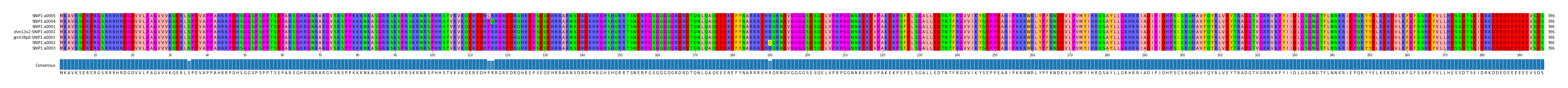 Multiple Alignments (by translate haplotype similarity)
