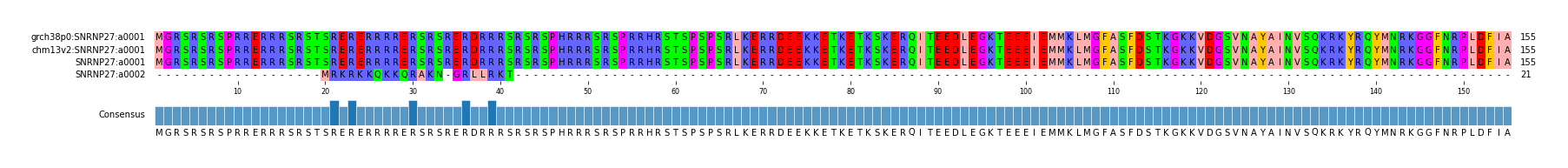 Multiple Alignments (by translate haplotype similarity)
