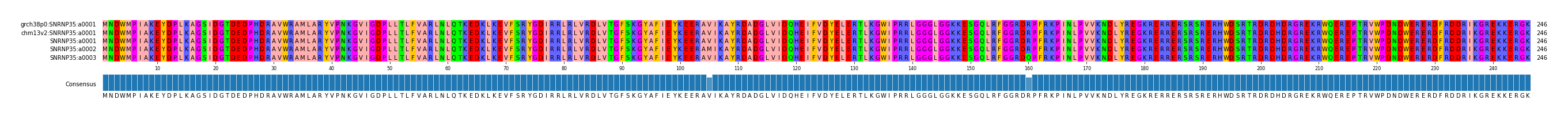 Multiple Alignments (by translate haplotype frequency)