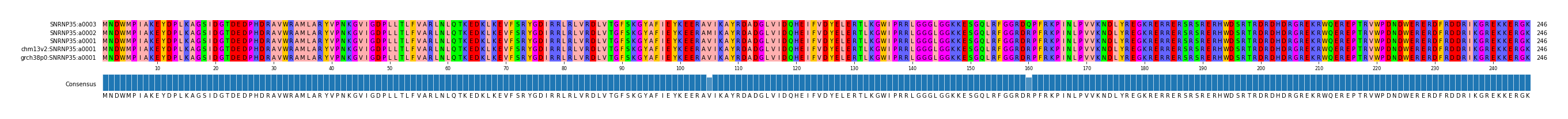 Multiple Alignments (by translate haplotype similarity)