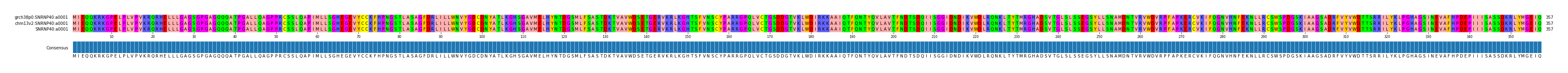Multiple Alignments (by translate haplotype similarity)