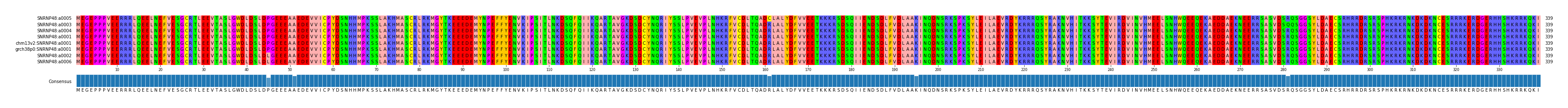 Multiple Alignments (by translate haplotype similarity)