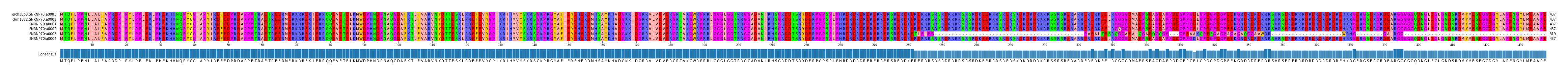 Multiple Alignments (by translate haplotype frequency)