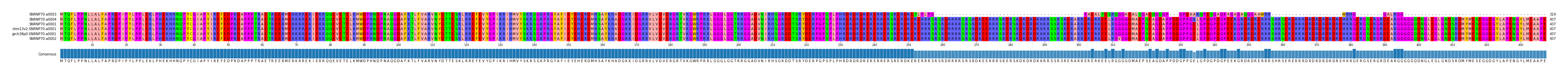 Multiple Alignments (by translate haplotype similarity)